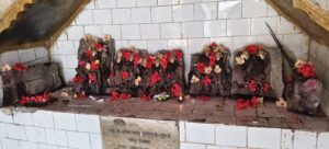 *बरखेड़ा हटरी चौसठ योगिनी माता धाम में अनोखा जवारा विसर्जन, उमड़ा आस्था का सैलाब*