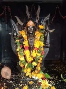 *श्री शिव साई धाम में प्रथम श्री शनि जयंती महामहोत्सव का भव्य आयोजन संपन्न*