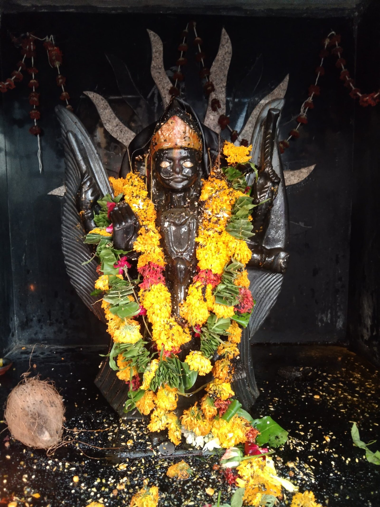 *श्री शिव साई धाम में प्रथम श्री शनि जयंती महामहोत्सव का भव्य आयोजन संपन्न*