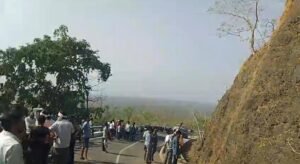 *तेलंग घाटी में दर्दनाक हादसा, पहाड़ से गिरकर 10 से 15 भैंसों की मौत*