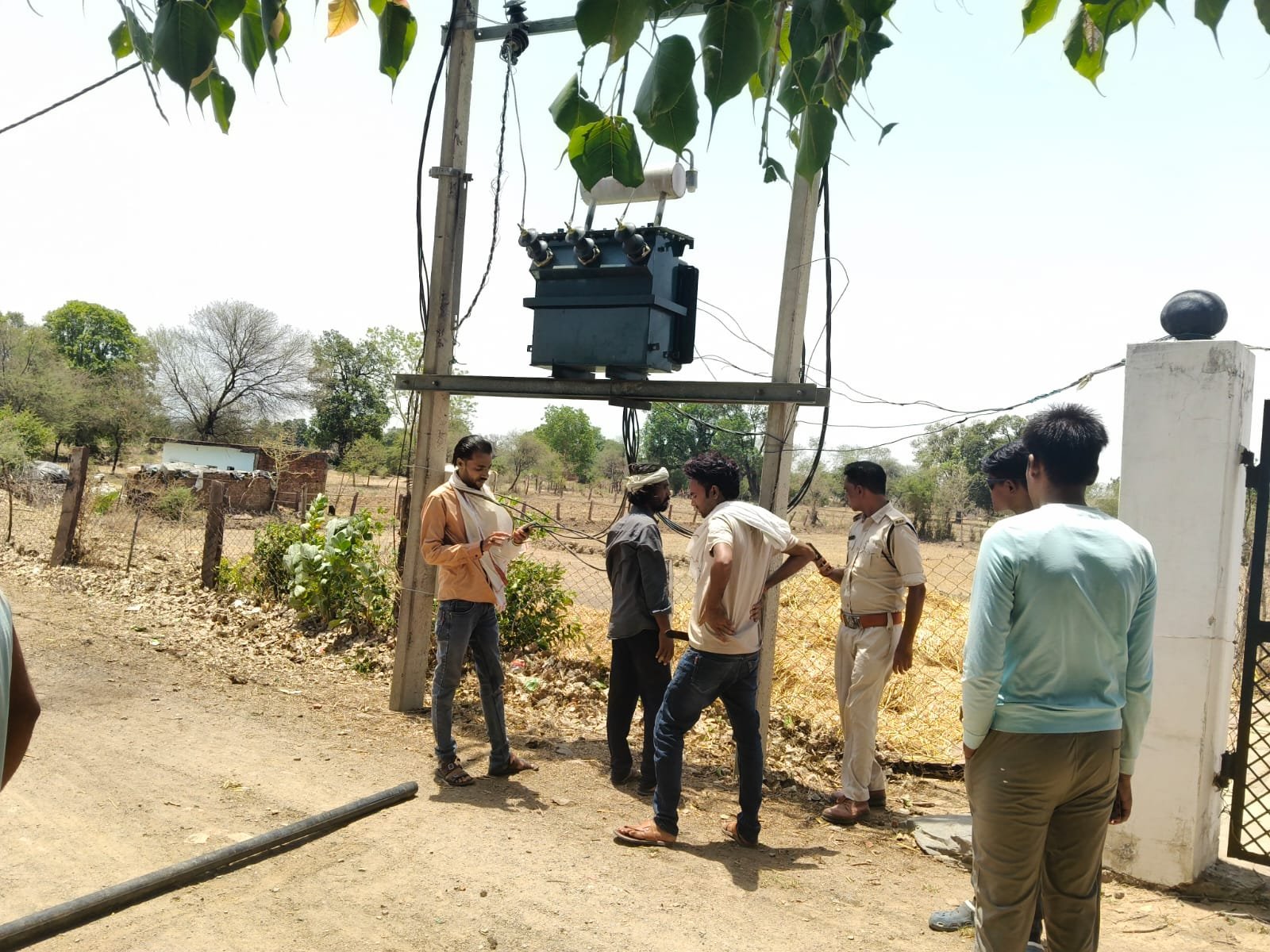 *गुंजी में करंट लगने से तीन राष्ट्रीय पक्षी मोरों की मौत वन विभाग अमला जुटा जांच में*