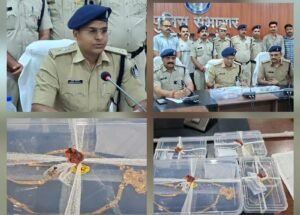 *नरसिंहगढ़ डकैती कांड में दमोह पुलिस को बड़ी सफलता दो और आरोपी गिरफ्तार*