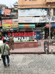 *आस्था का सम्मान करे सरकार अमरनाथ यात्रियों की पीड़ा को हल्के में न ले*