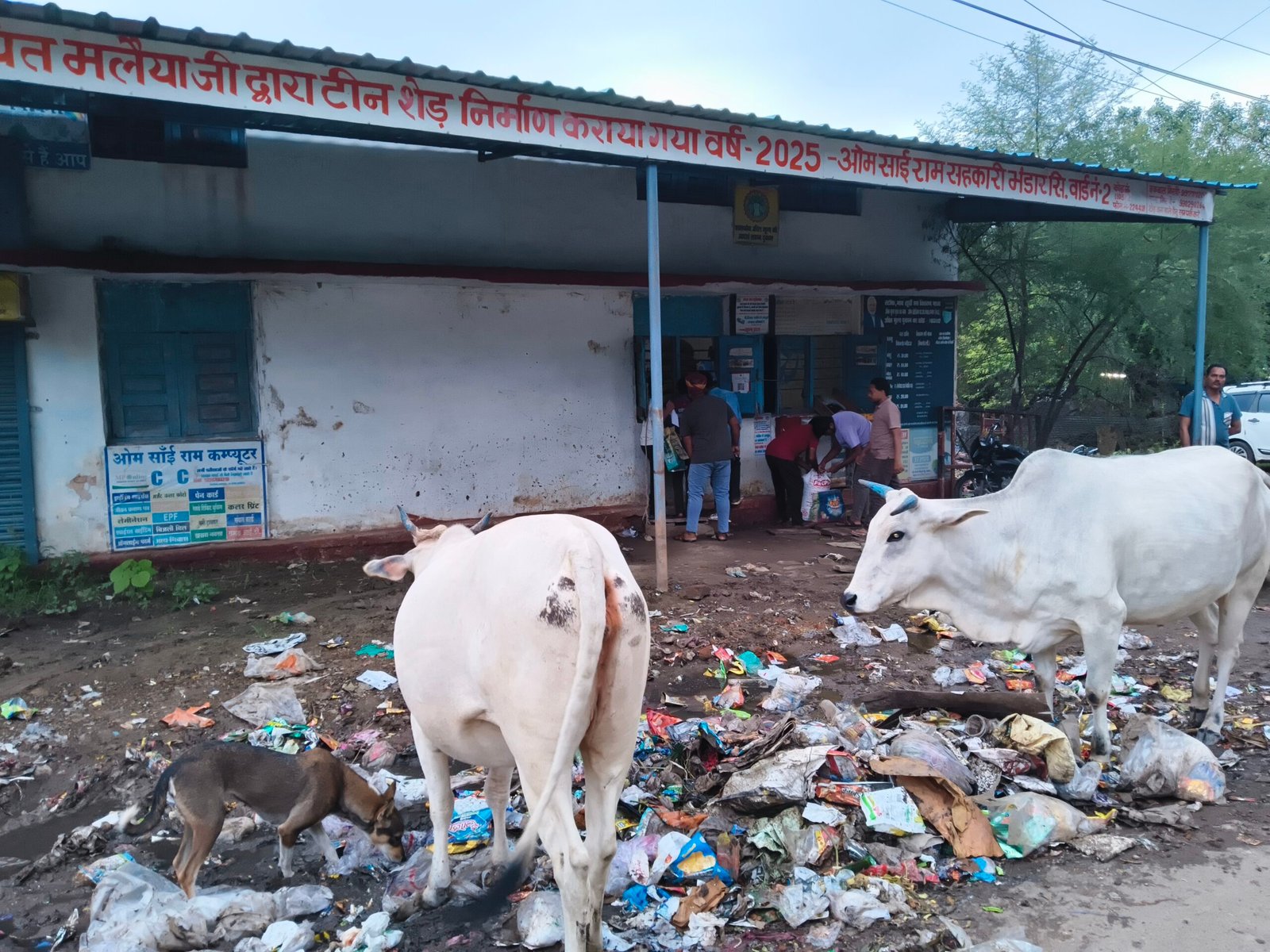 *सरकारी उचित मूल्य दुकान के पास गंदगी का अंबार, राशन लेने वाले उपभोक्ता परेशान*