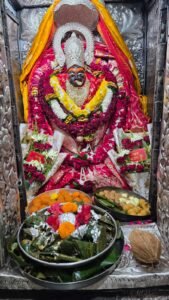 *जय माता दी के जयकारों से गूंजा मार्ग, 20 वर्षों से निरंतर मैहर की पैदल यात्रा कर रहे दमोह के श्रद्धालु*